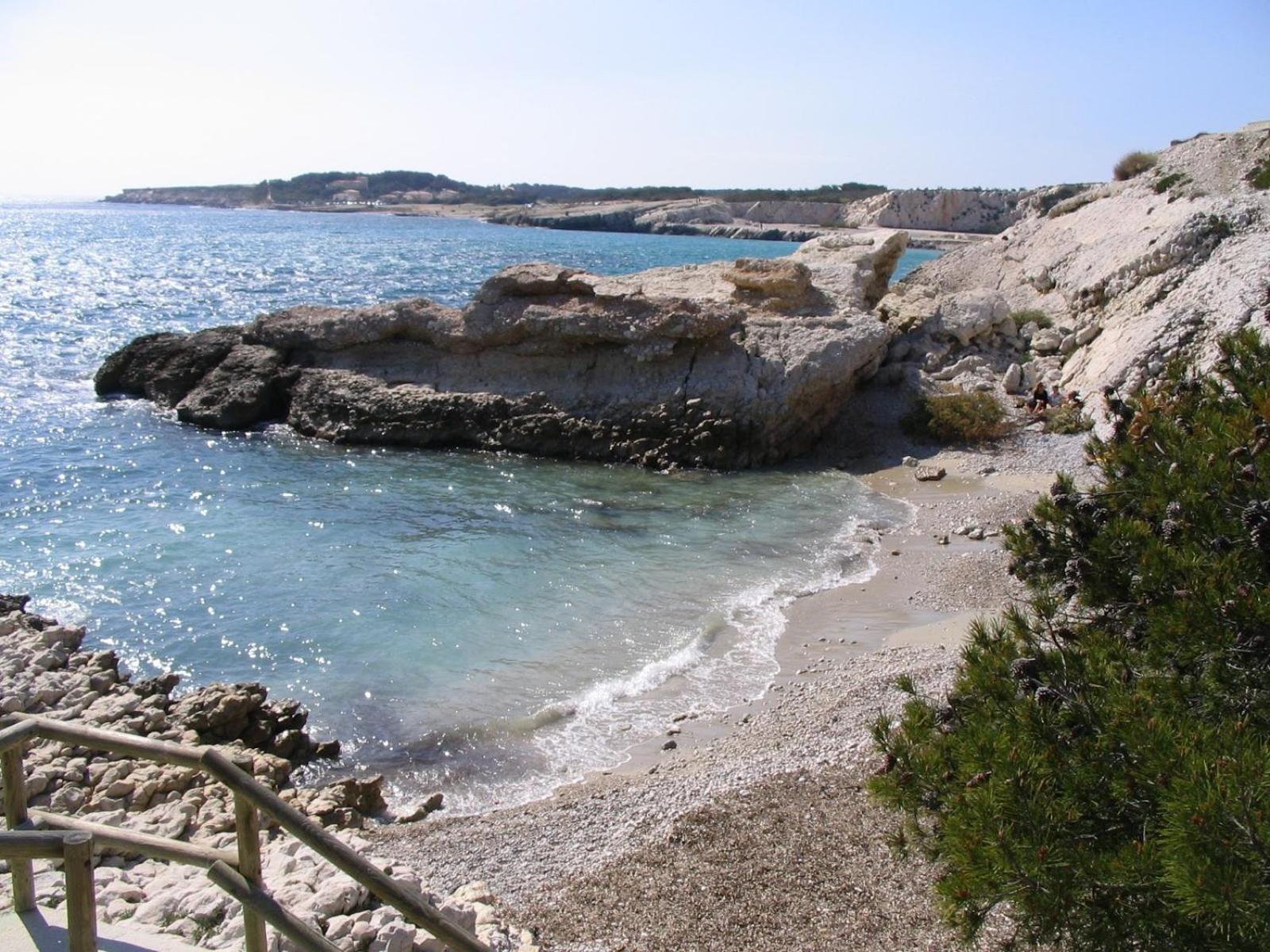 *Tiny Jungle* / Plage, Port Et Commerces A Pied Sausset-les-Pins Εξωτερικό φωτογραφία